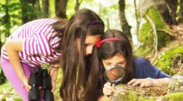 Pembrokeshire Coast – Enjoy Pembrokeshire’s ‘petalled paradise’