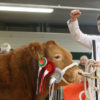Royal Welsh Winter Fair schedules available online