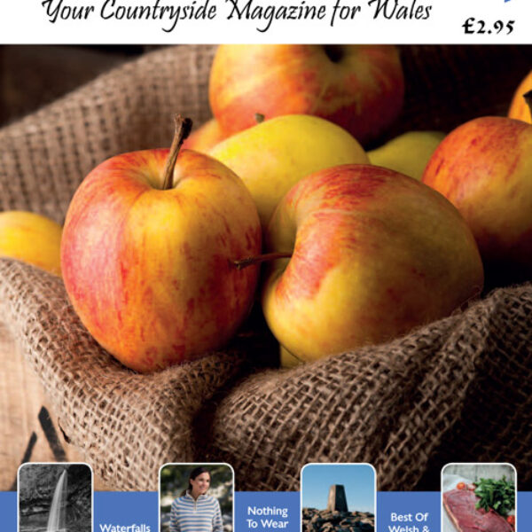 Welsh Country Magazine Jan Feb 14 Issue 56