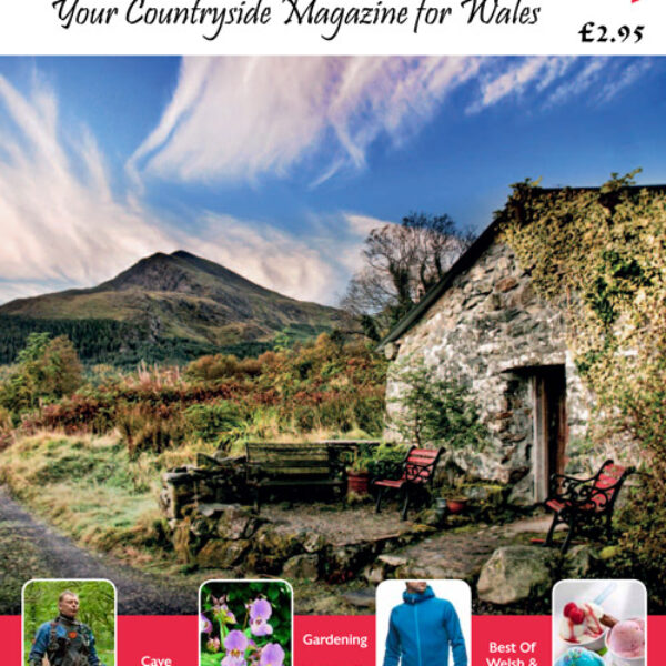 Welsh Country Magazine Mar Apr 14 Issue 57