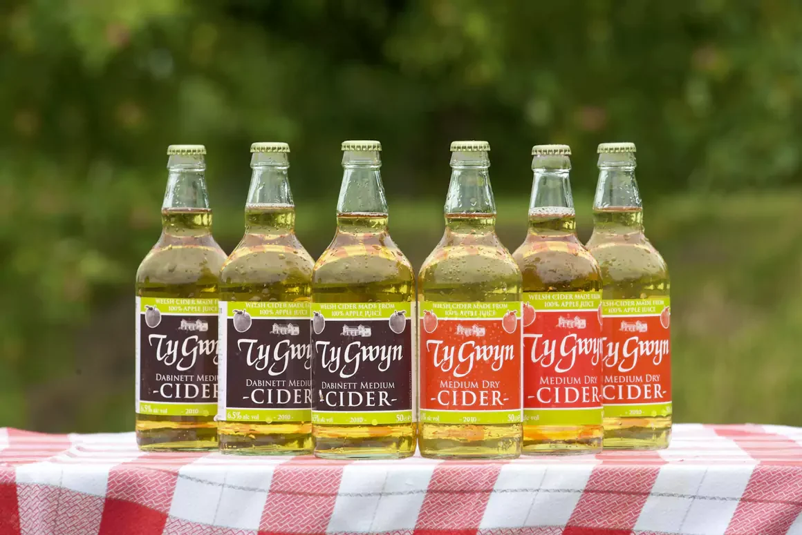 Ty Gwyn Cider