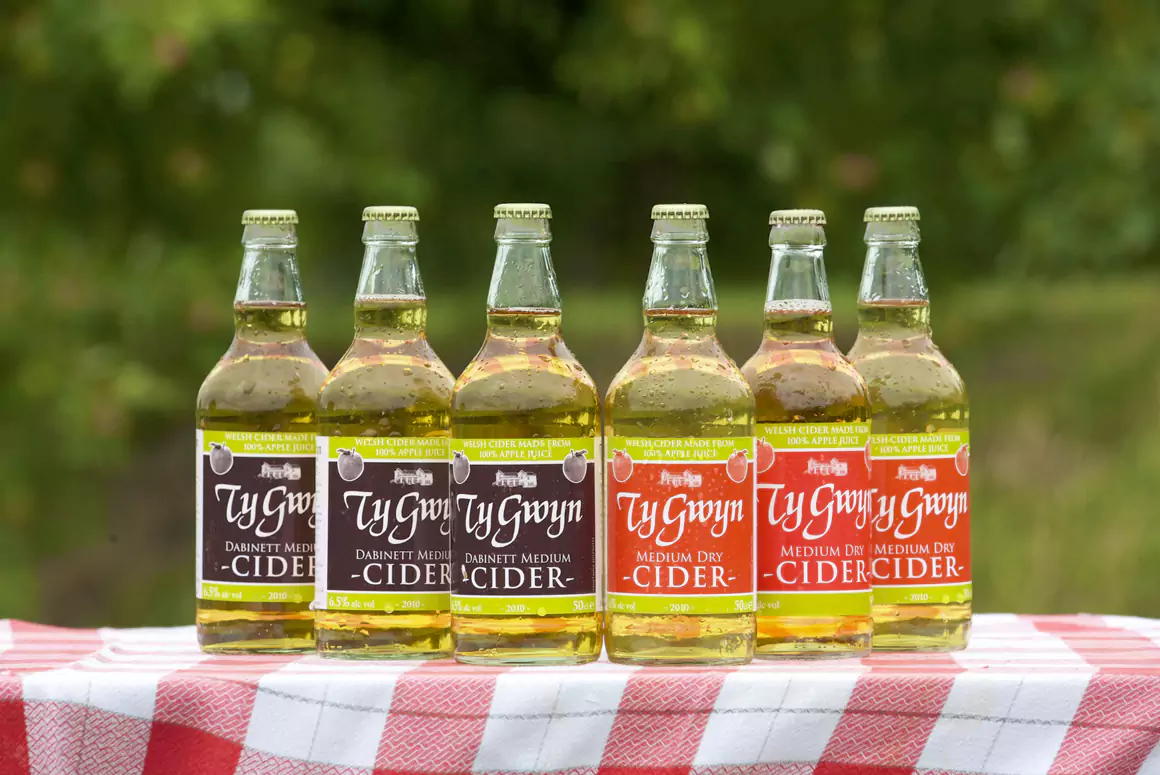 Ty Gwyn Cider