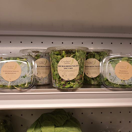 Ceredigion Salads
