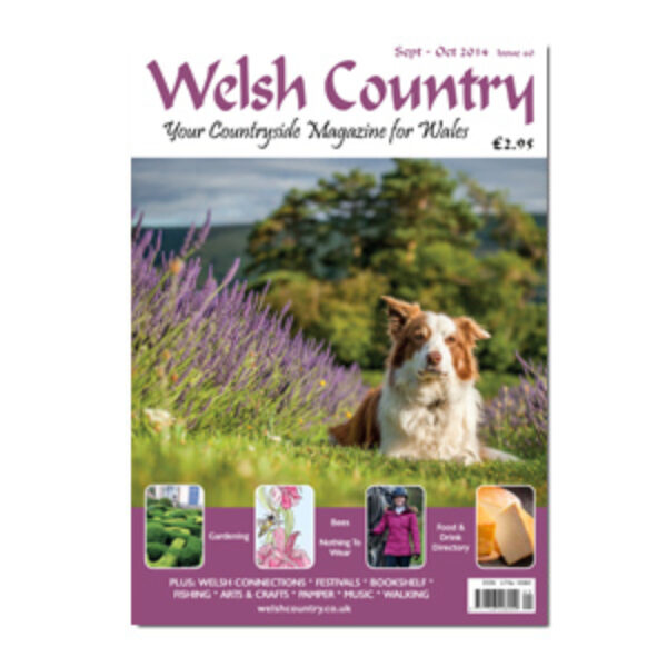 Welsh Country Magazine Sept Oct 14 Issue 60