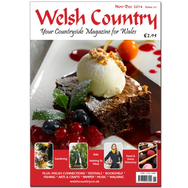 Welsh Country Magazine Nov-Dec 14 Issue 61