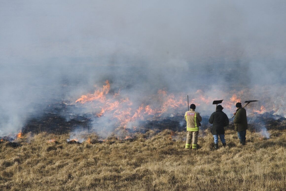 Controlled Burning to Protect Against Wildfires