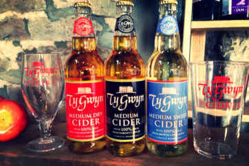ty gwyn cider three bottles