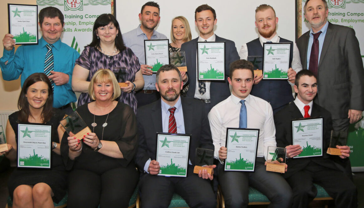 Welsh Employers and Learners Recognised in New Awards