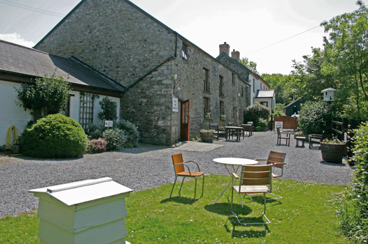 New Quay Honey