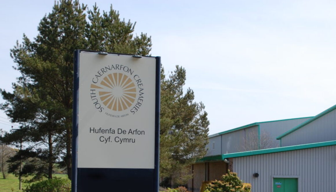 South Caernarfon Creameries Two New Member Farmers to the Board