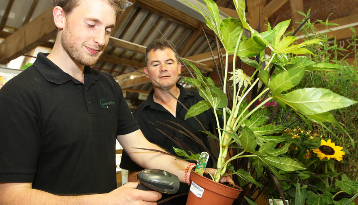 Apprenticeship Levy in Wales