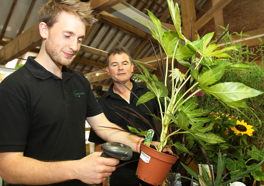 Apprenticeship Levy in Wales