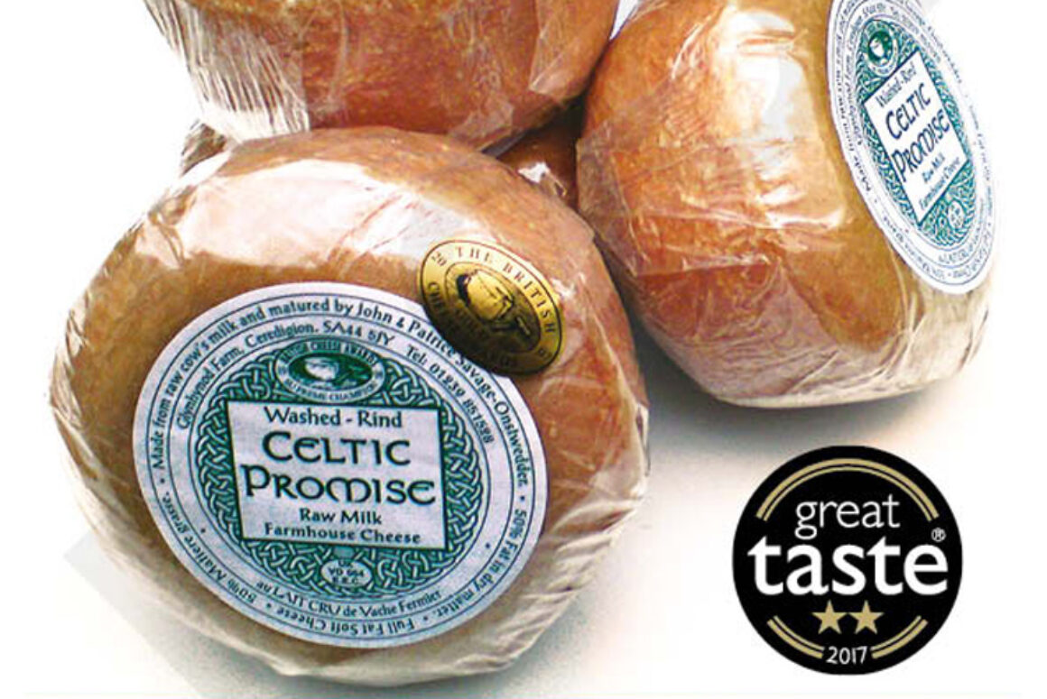 Caws Teifi Cheese Named Best Welsh Cheese, World Cheese Awards