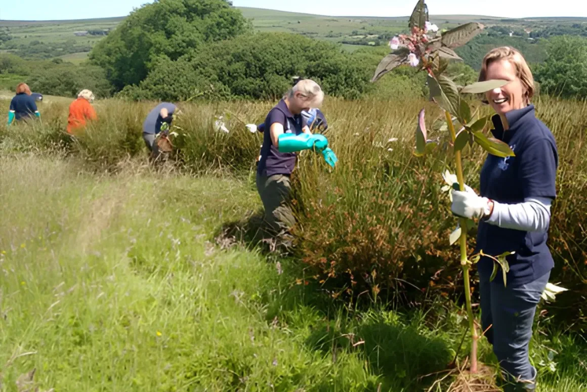 Battle Against Balsam with Stitch in Time Project
