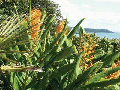 The Boarlands, Port Eynon The Boarlands, Port Eynon