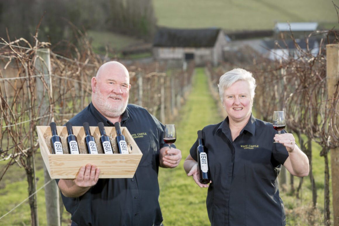 White Castle Vineyard Hopes 1581 Is A Good Year