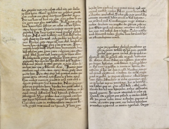 Peniarth Manuscripts Now Available Digitally