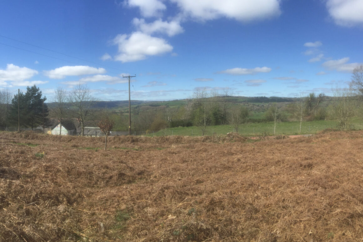 Open Spaces Urges Powys To Reject Damaging Development In Glasbury