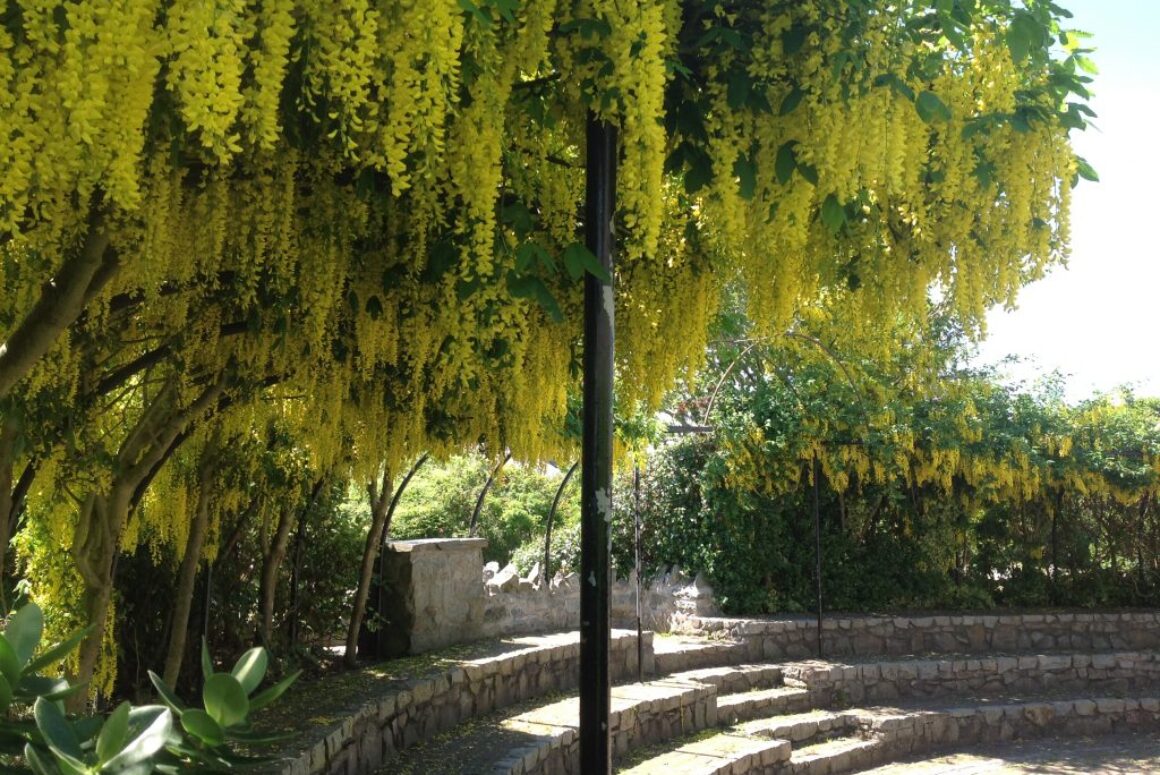 Ucheldre Centre Has Natural Beauty as Well as Artistic Beauty Ucheldre Centre Has Natural Beauty as Well as Artistic Beauty