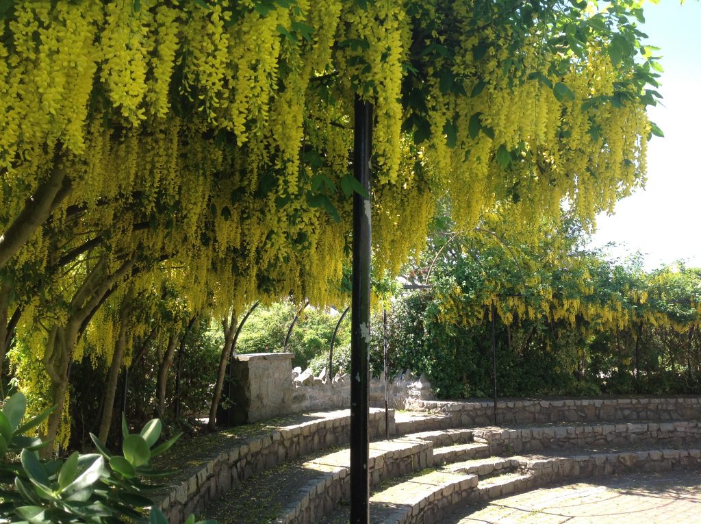 Ucheldre Centre Has Natural Beauty as Well as Artistic Beauty