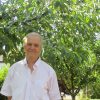 Phil Alder ‘I come to my garden….’ King Street Gallery Exhibition