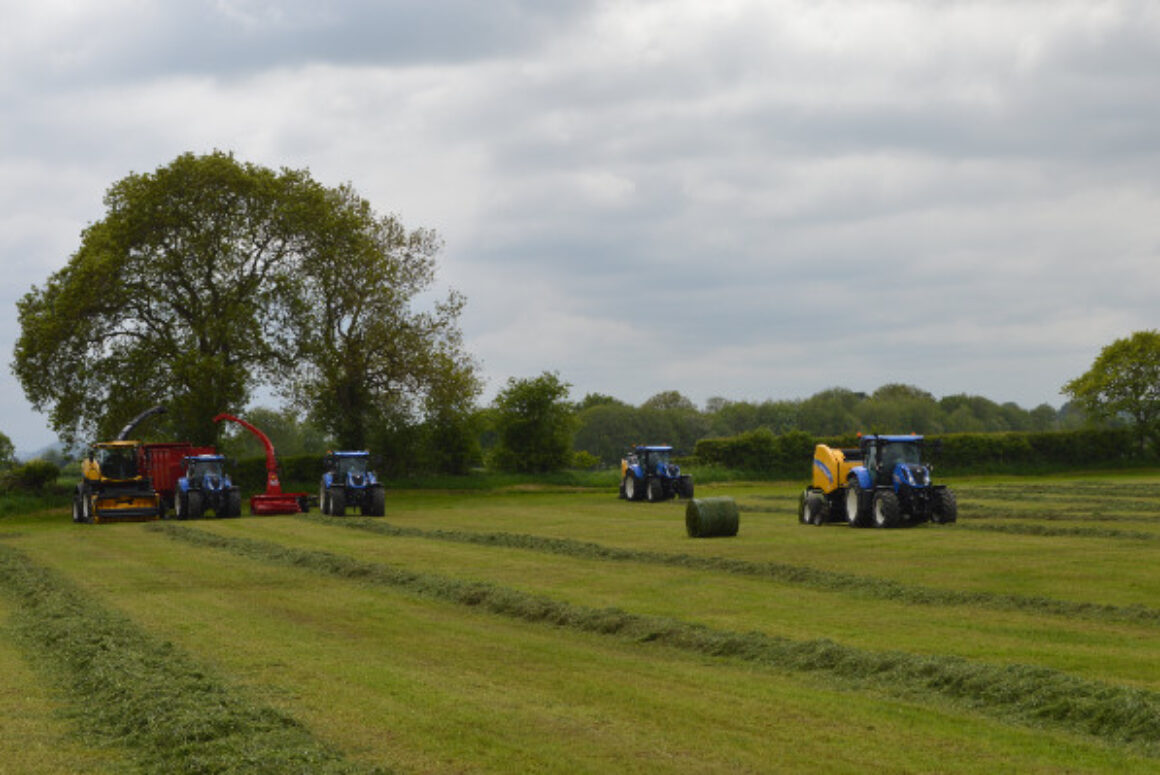 Welsh Grassland Societies & RWAS Silage Winners