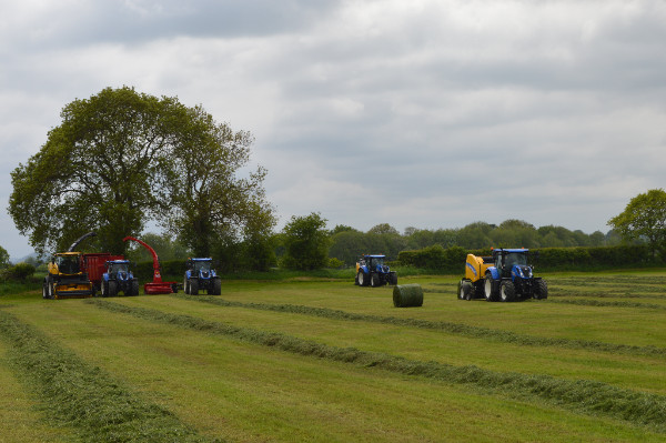 Welsh Grassland Societies & RWAS Silage Winners