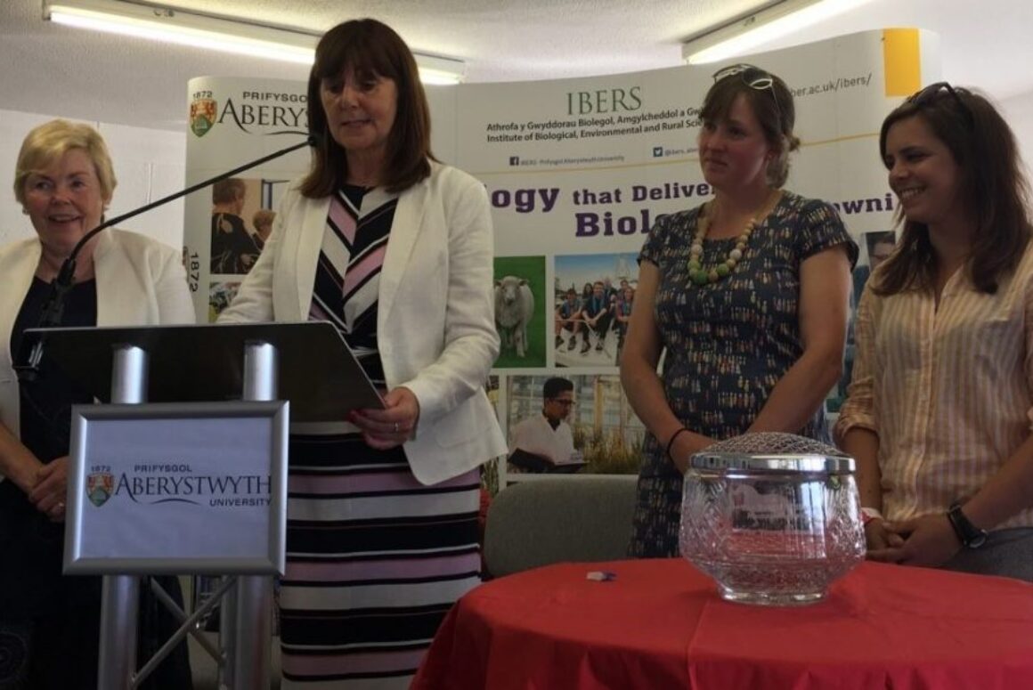 Brynle Williams Memorial Award is Won Jointly in 2018