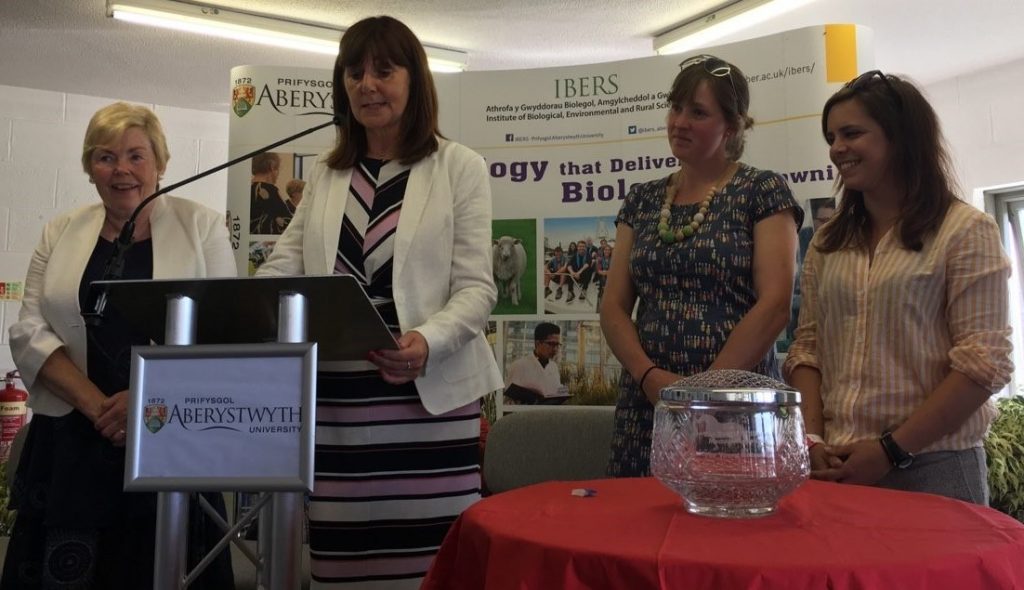 Brynle Williams Memorial Award is Won Jointly in 2018