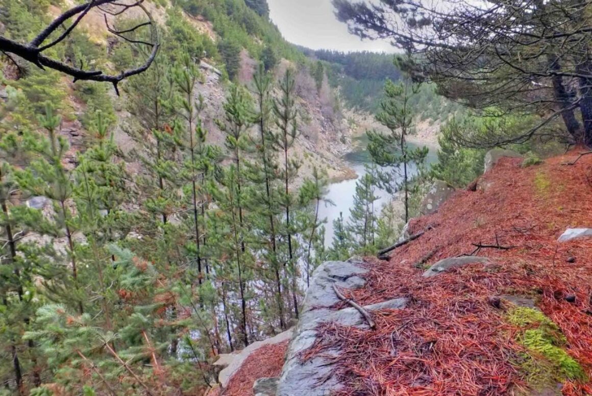 Common Land Open Spaces Society Fights Land Swap