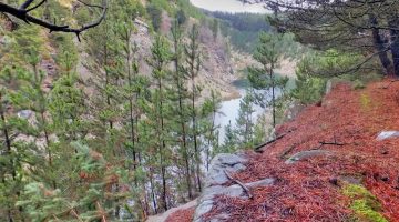 Common Land Open Spaces Society fights land swap A view