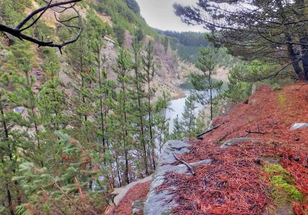 Common Land Open Spaces Society Fights Land Swap