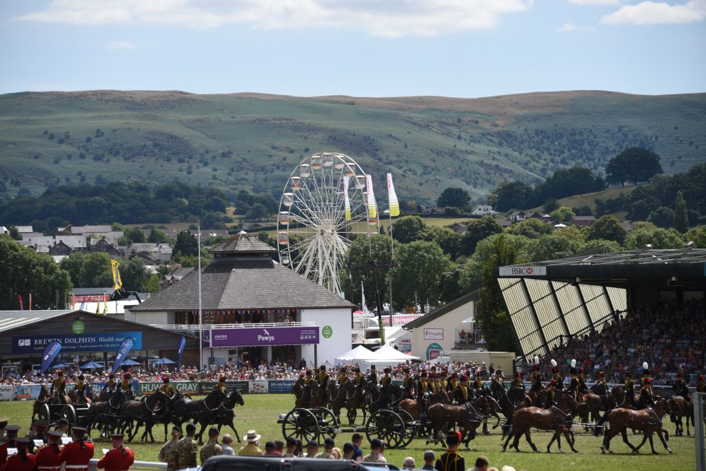 RWAS Ambassador New Role in 2020