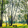Liveable Cities welcomed by Open Spaces Society – a view