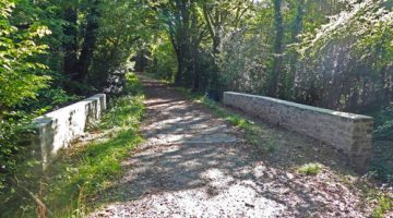 Canaston Wood bridleway bridge repaired