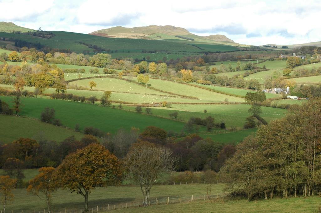 Open Spaces Society Appalled Wind Turbines for Powys Beauty Spot