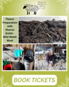 Wonderwool Wales - Wool Schools