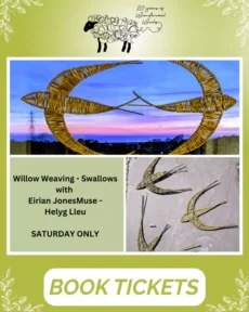 Wonderwool Wales - Wool Schools