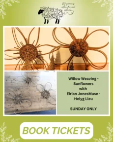 Wonderwool Wales - Wool Schools Wonderwool Wales - Wool Schools