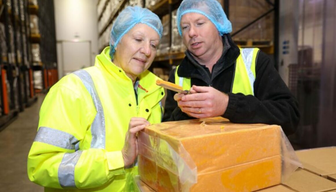 Red Leicester cheese assessment