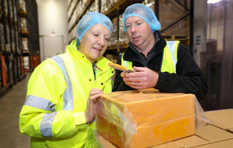 Red Leicester cheese assessment