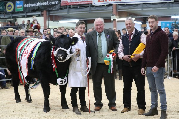 High Profile Royal Welsh Winter Fair