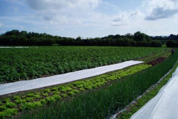 Bryn Cocym Organic