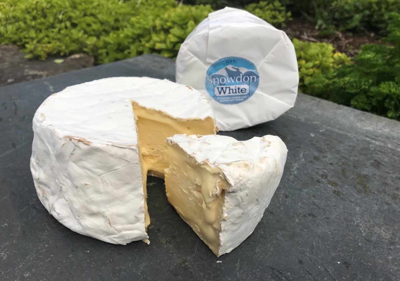Snowdon White Wins Gold for the ‘Best Soft Cheese’ Welsh Country