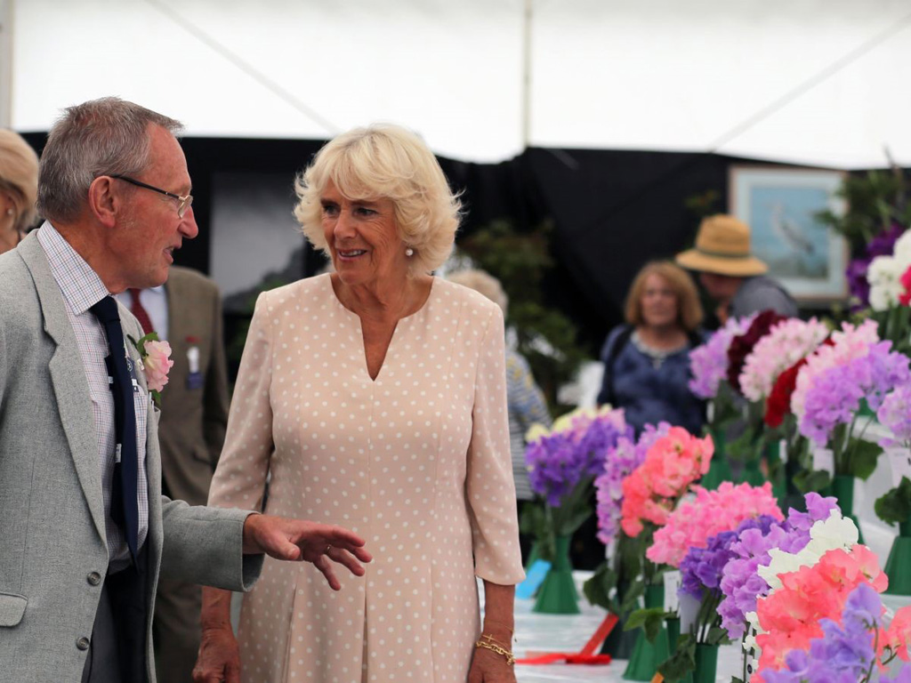 100th Royal Welsh - The Duchess of Cornwall 100th Royal Welsh - The Duchess of Cornwall