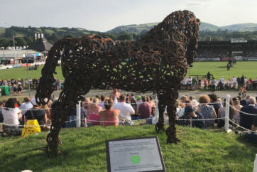 100th RWAS - Welsh Cob Stallion