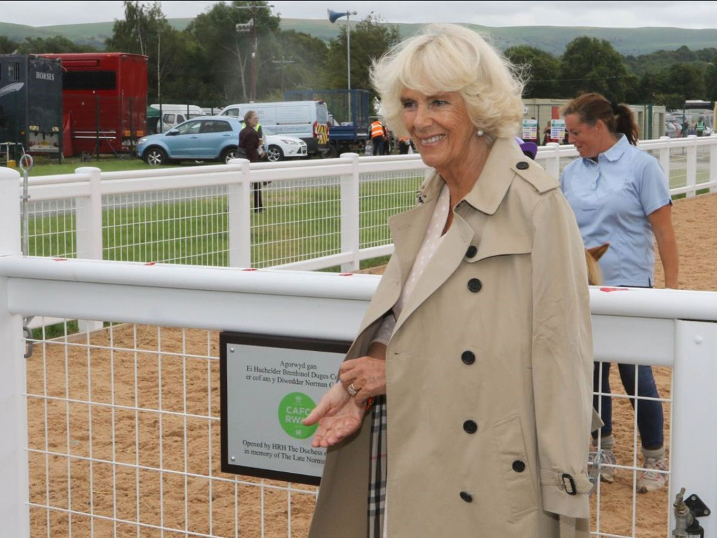 Fire and Passion, a Welsh Cob Stallion Sculpture