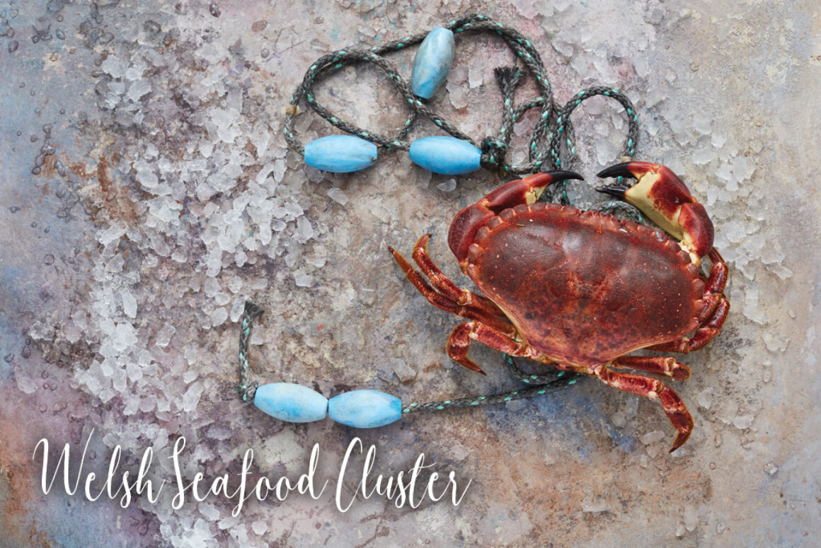 The Wales Seafood Cluster – Clwstwr Bwyd Môr Cymru