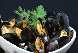 Wales Seafood Cluster - Clwstwr Bwyd Môr Cymru
