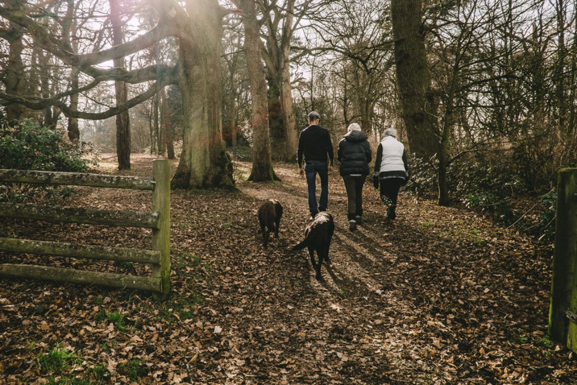 Walking in Wales – Where to Take Your Dog
